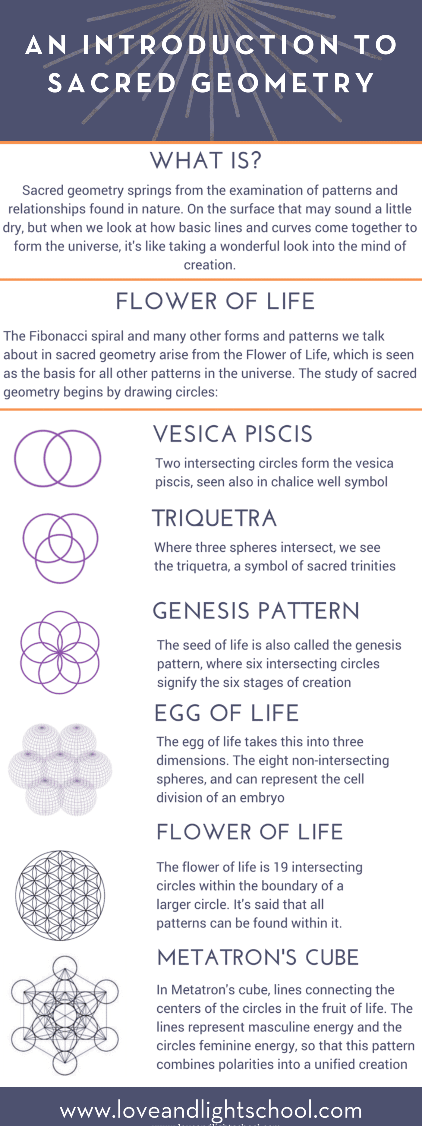 Tensor Egg of life/ 7chakra