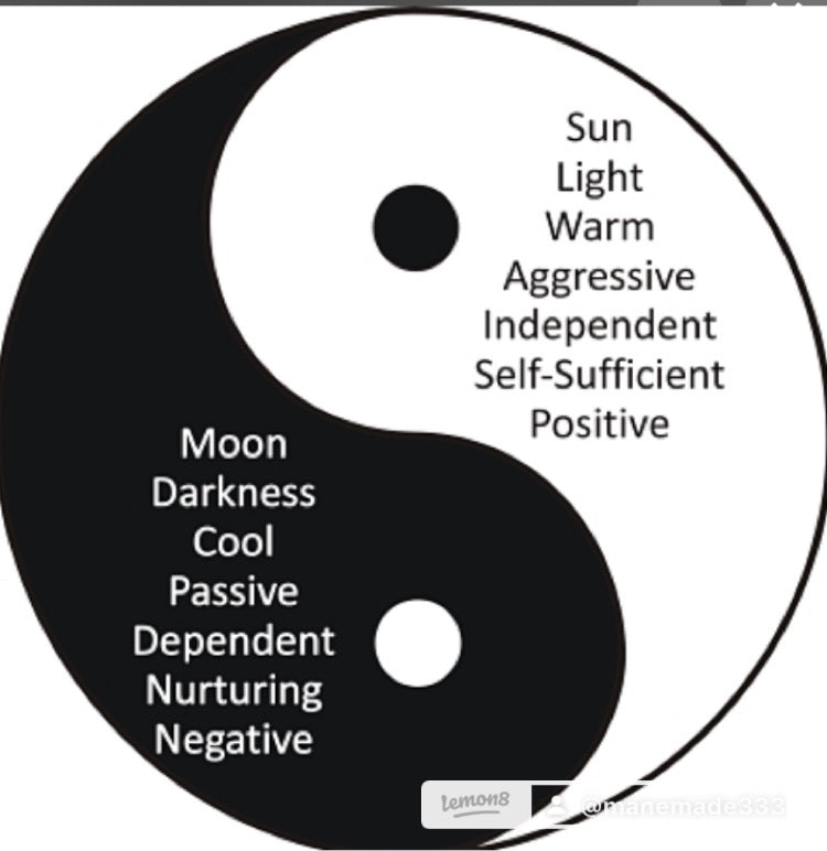 Yin/Yang (white howlite/black Obsidian
